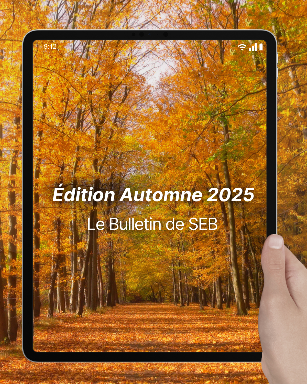 Newsletter cover trial (1)